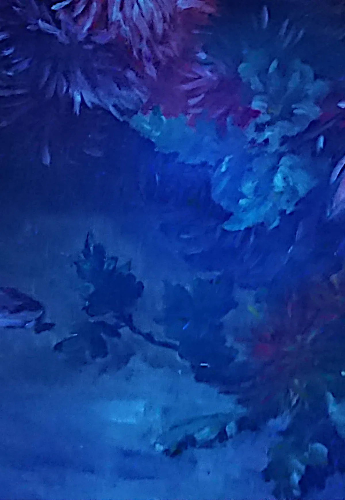 Claire Brochu Restauration De Peintures Marseille Lumiere Ultra Violette 1