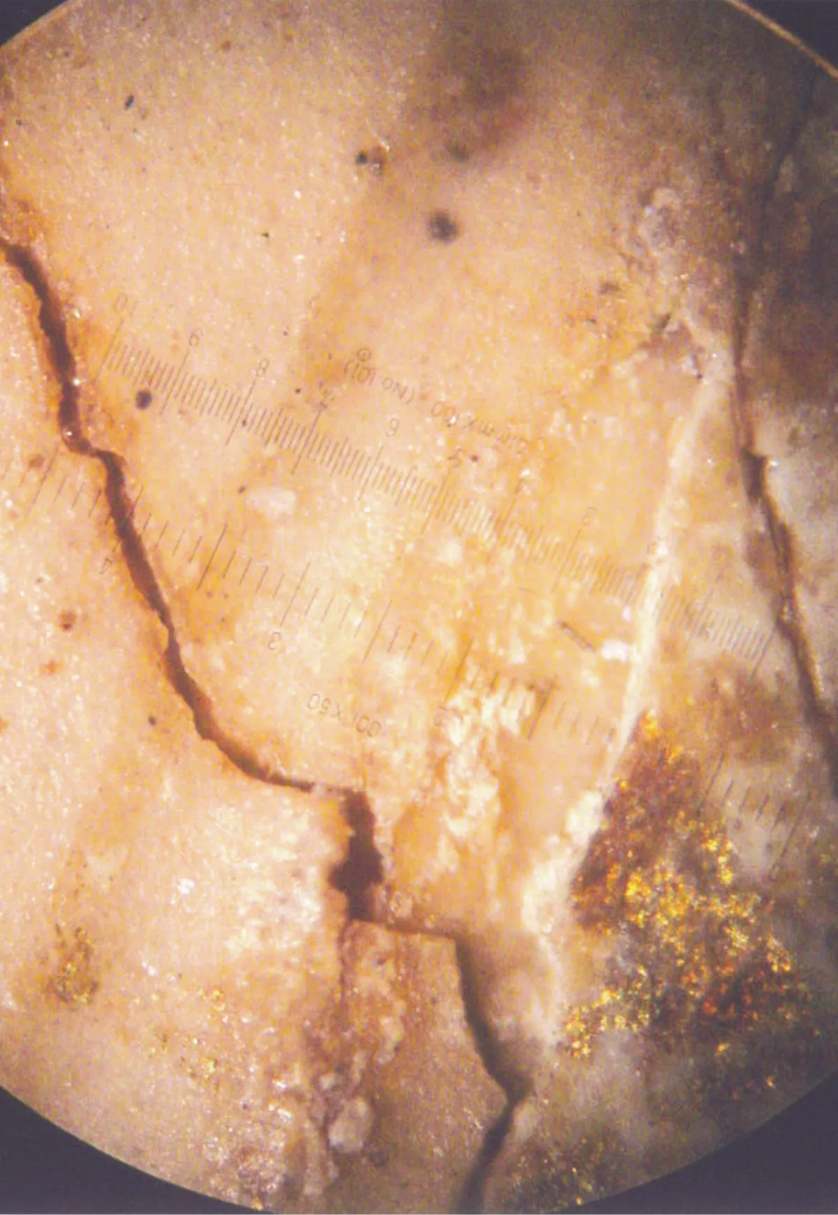 Claire Brochu Restauration De Peintures Marseille Macrophotographie De Traces Dor 2